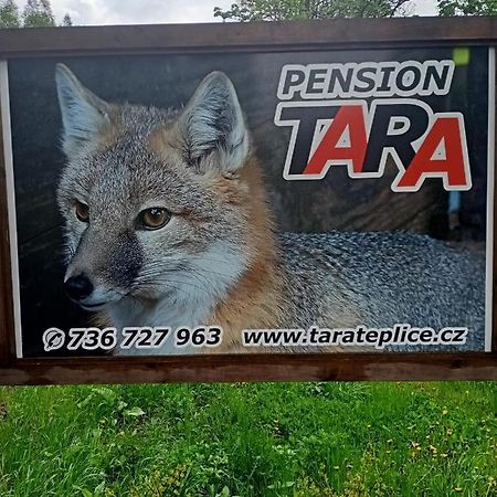 Pension Tara Teplice nad Metují Dış mekan fotoğraf