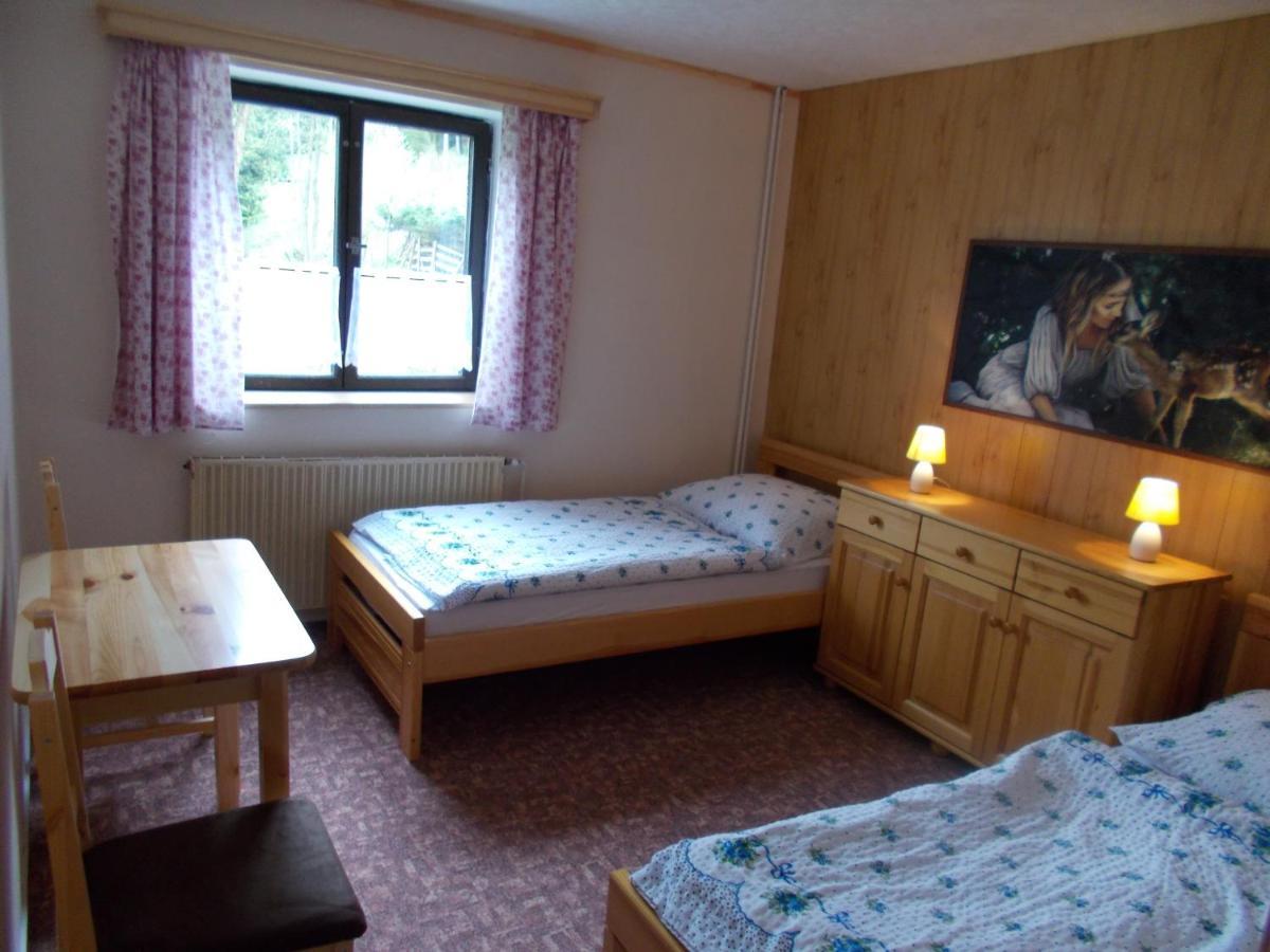 Pension Tara Teplice nad Metují Dış mekan fotoğraf