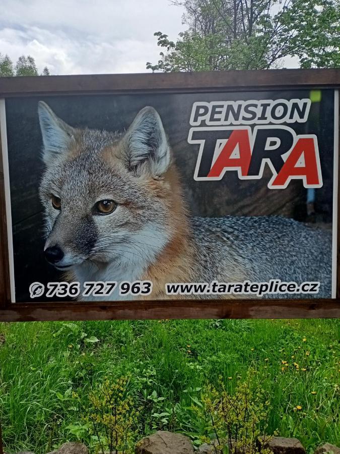 Pension Tara Teplice nad Metují Dış mekan fotoğraf
